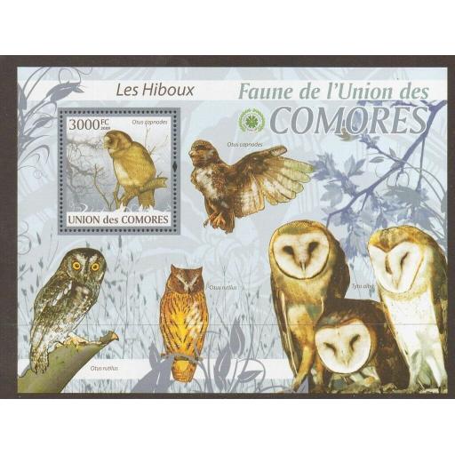 comores-2009-owls-sheetlet-mnh-724221-p.jpg