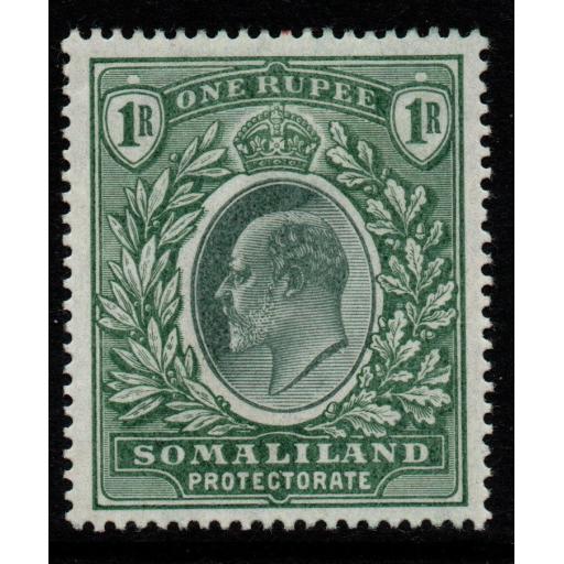 SOMALILAND SG41 1904 1r GREEN MTD MINT
